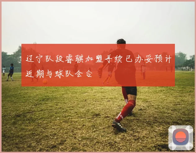 辽宁队段睿骐加盟手续已办妥预计近期与球队会合